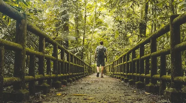 Trekking in Cuc Phuong and Pu Luong and Halong Bay Cruise - 12 Days 1
