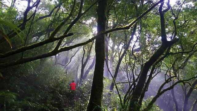 Trekking To The Northeast Vietnam Trails - 9 Days 1