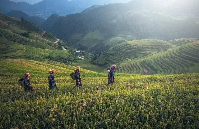Trekking To The Northeast Vietnam Trails - 9 Days 4