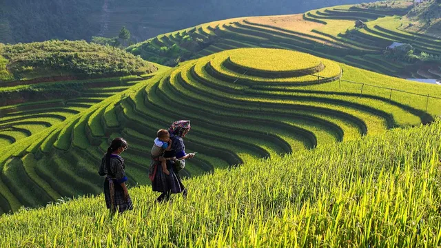 Vietnam Trekking To Remote Area to Halong Bay - 13 Days 2