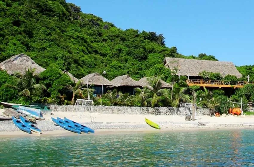 Monkey island resort